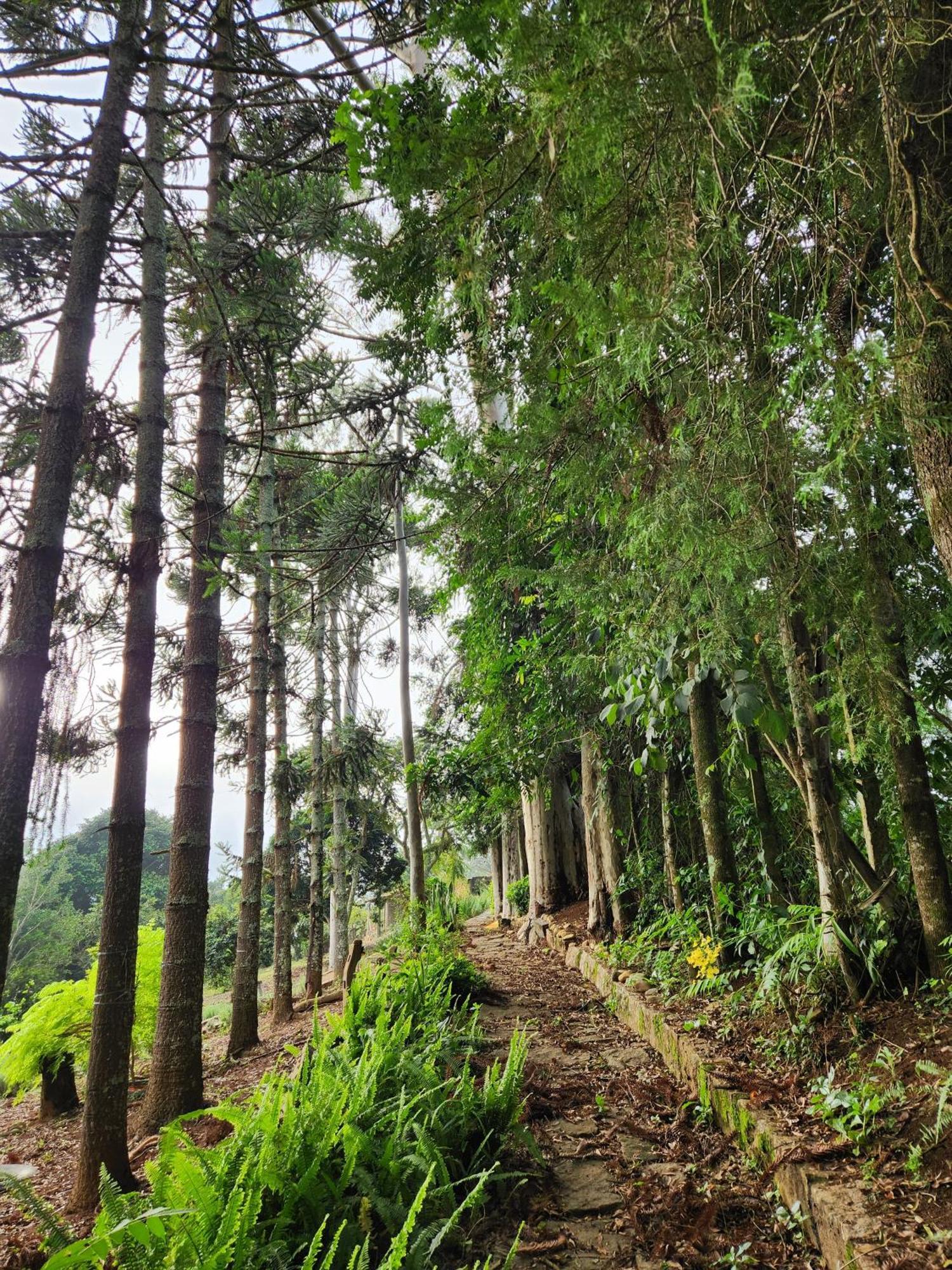 Pousada La Na Roca Paraisópolis Kültér fotó
